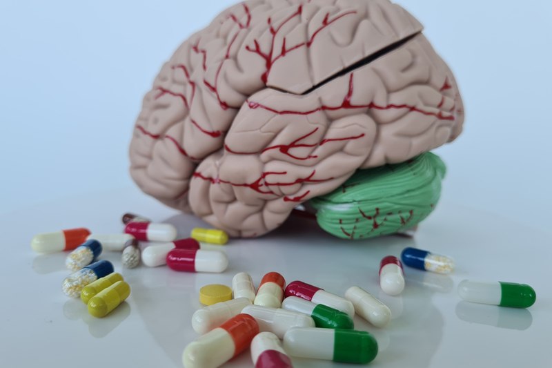 Мозъкът и паметта: кои добавки стимулират когнитивната активност